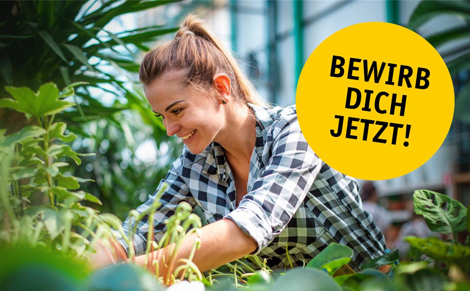 Jobbörse - Hier finden Sie aktuelle Stellenangebote Jobbörse - Hier finden Sie aktuelle Stellenangebote