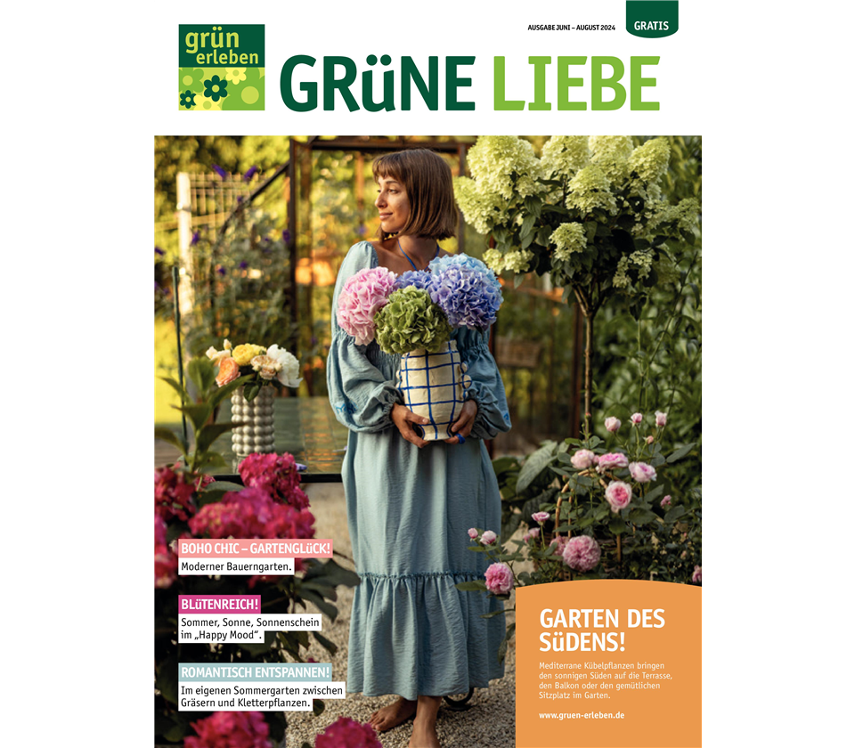 Ausgabe 4