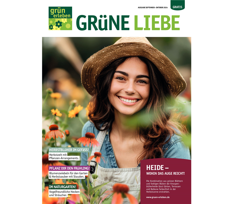 Ausgabe 5