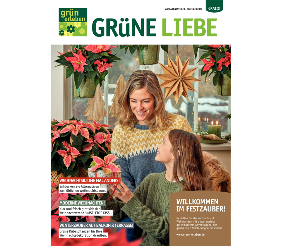 Ausgabe 6