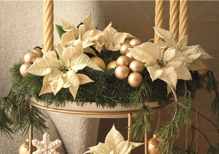 WILLKOMMEN IM FESTZAUBER!