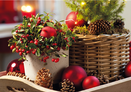 WINTERZAUBER AUF BALKON & TERRASSE! 