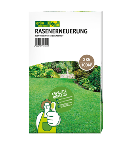 Rasenerneuerung 