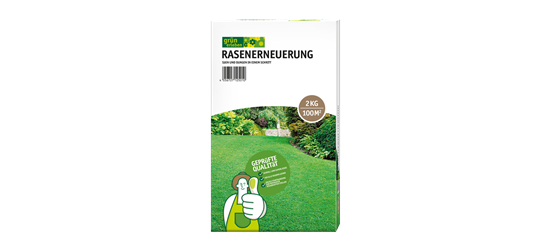 Rasenerneuerung 
