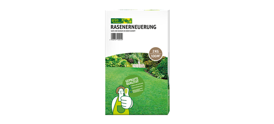 Rasenerneuerung 