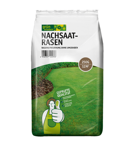 Nachsaatrasen