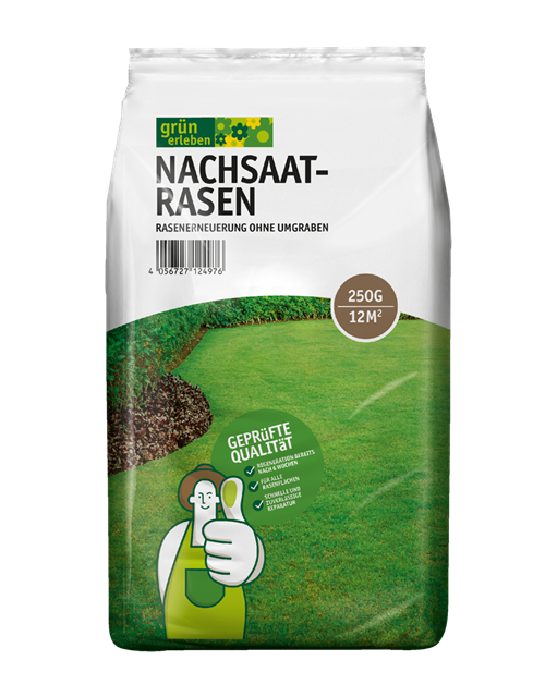 Nachsaatrasen