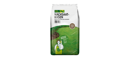 Nachsaatrasen
