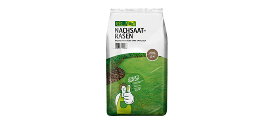 Nachsaatrasen