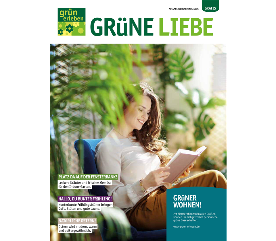 Ausgabe 1 2025