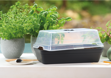 PLATZ DA AUF DER FENSTERBANK!