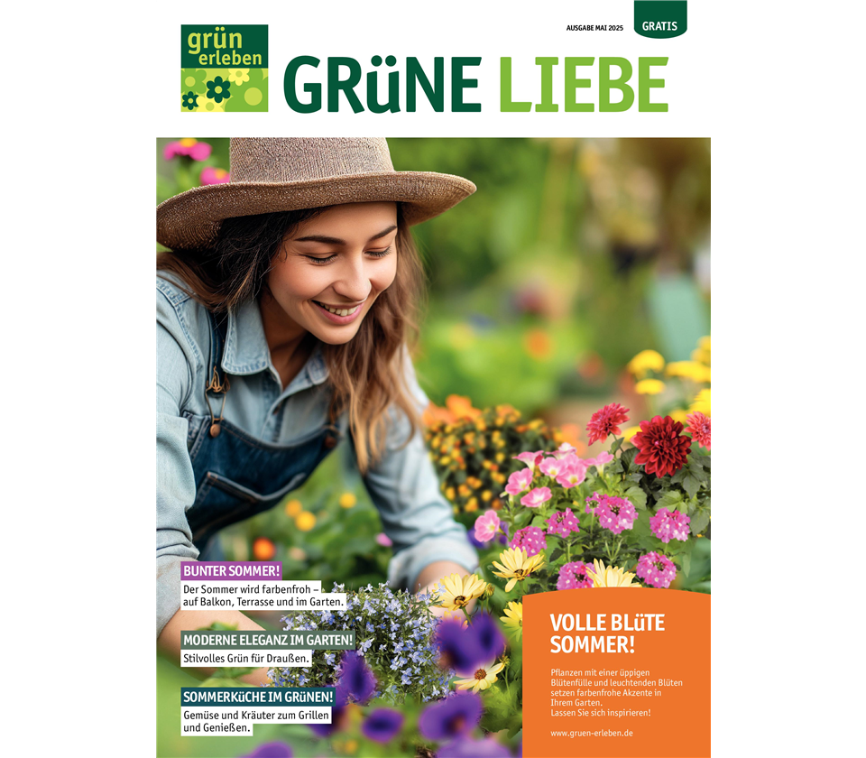 Ausgabe 3 2025