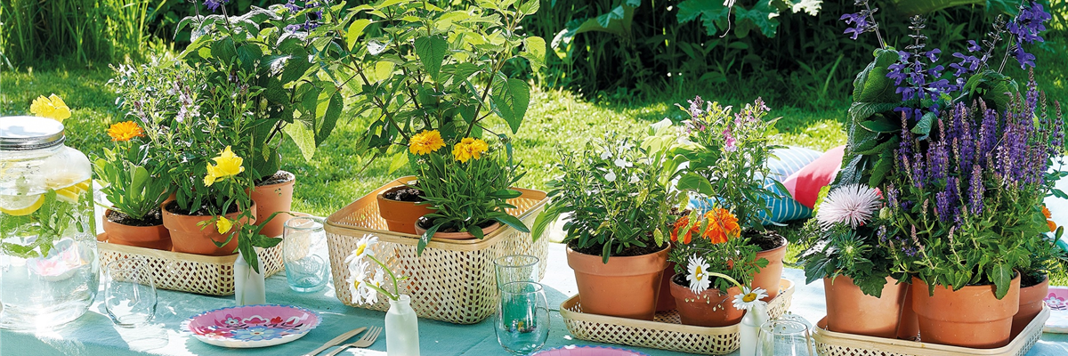 bunter sommer-0-841-2480-1395