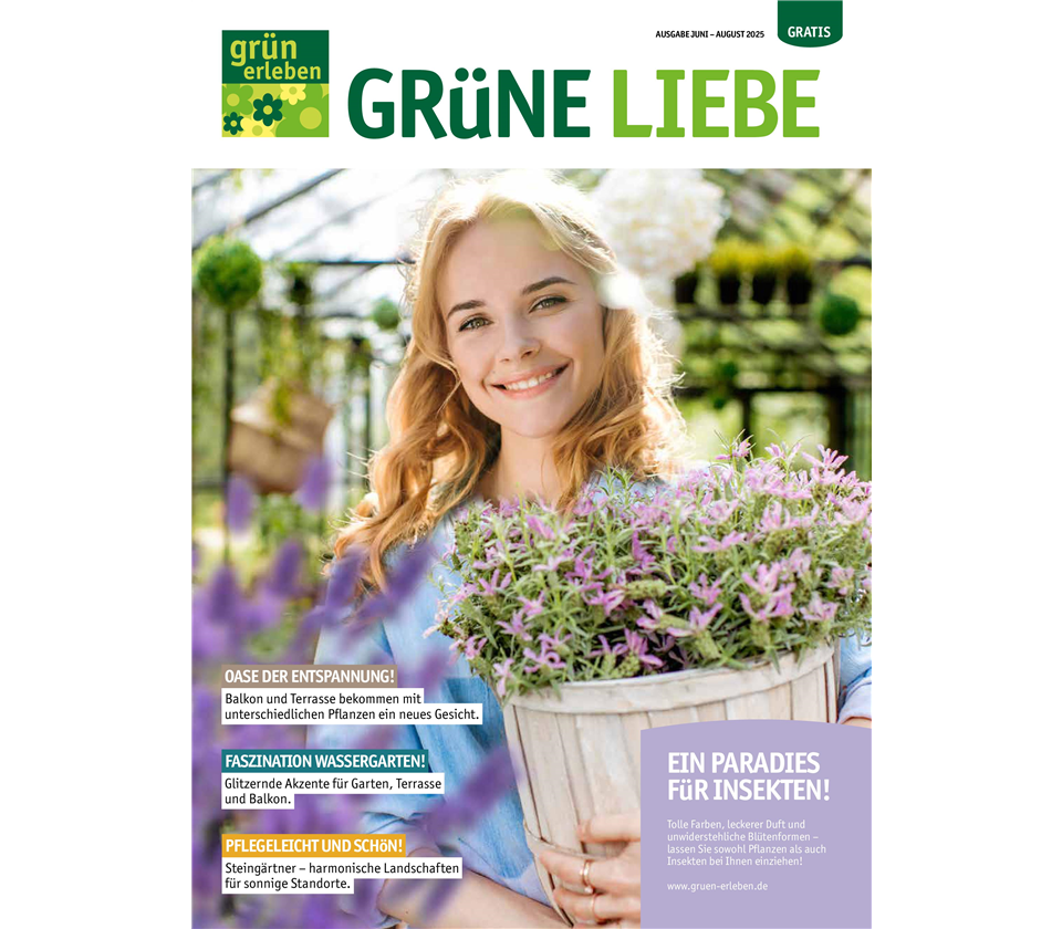 Ausgabe 4 2025