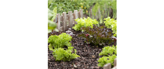 GENUSS-GARTEN! GENUSS-GARTEN!