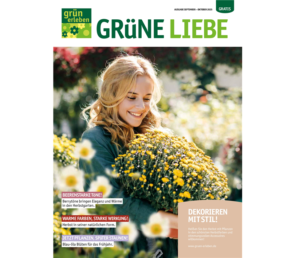 Ausgabe 5 2025