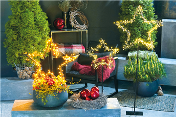 LICHTBLICKE IM WINTER-GARTEN!