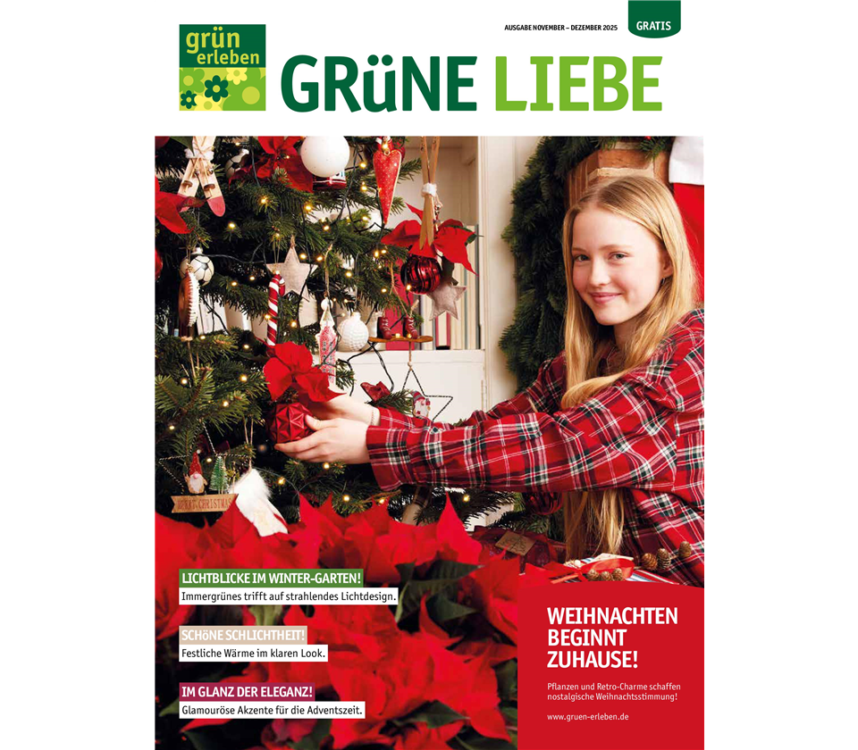 Ausgabe 6 2025