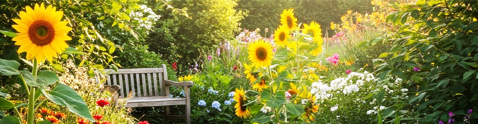 Buch des Monats: Februar!