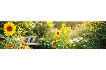 Buch des Monats: Februar!