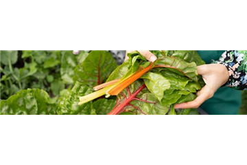 Buch des Monats: März!