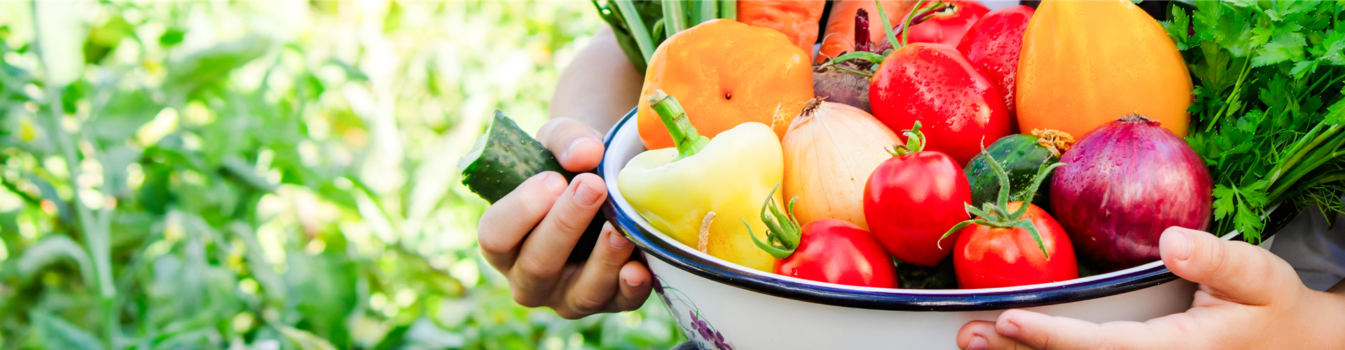 Buch des Monats: April!