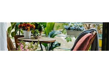 Buch des Monats: Mai!