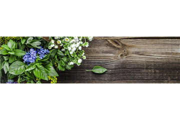 Buch des Monats: Juni!