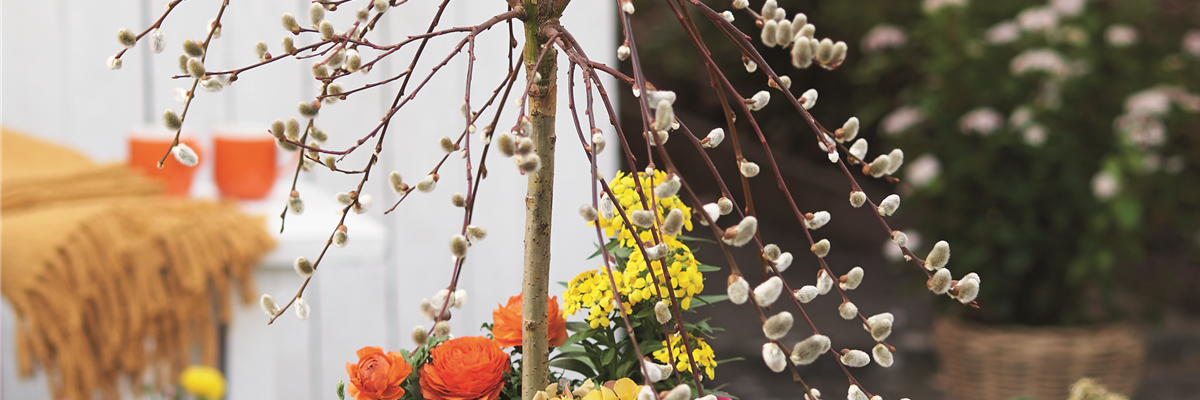 STARTKLAR FüR DEN FRüHLING!