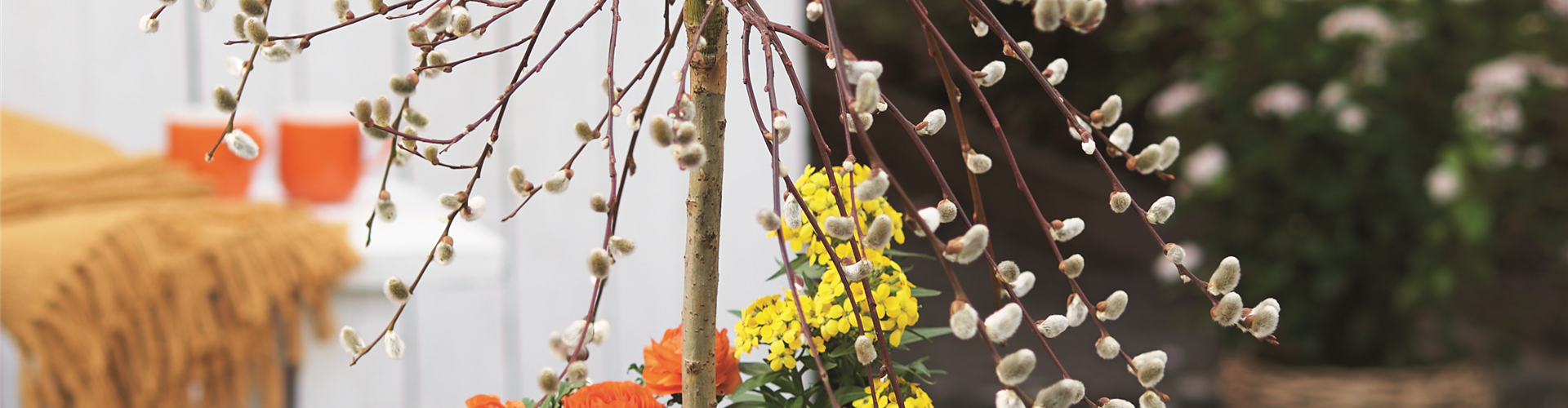 STARTKLAR FüR DEN FRüHLING!