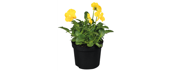 STARTKLAR FüR DEN FRüHLING!