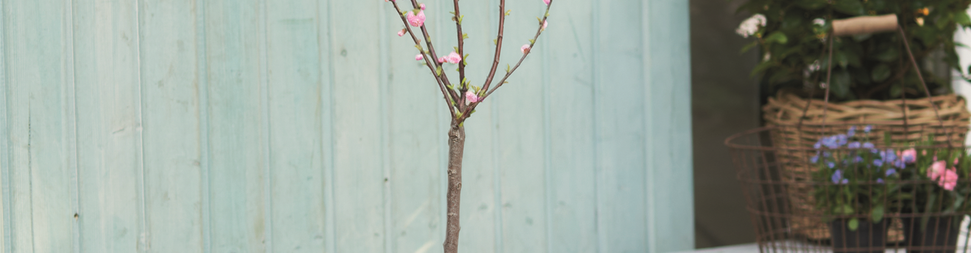 WILLKOMMEN FRÜHLING! 