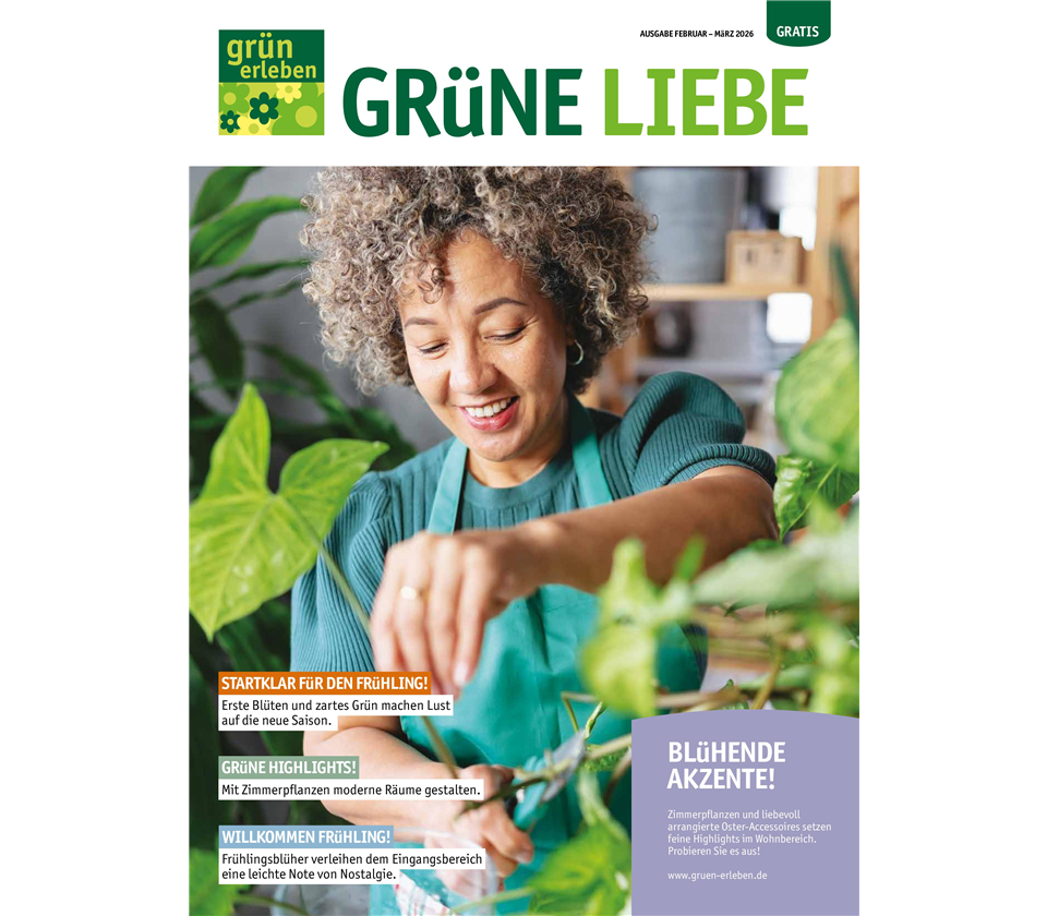 Ausgabe 1 - 2026
