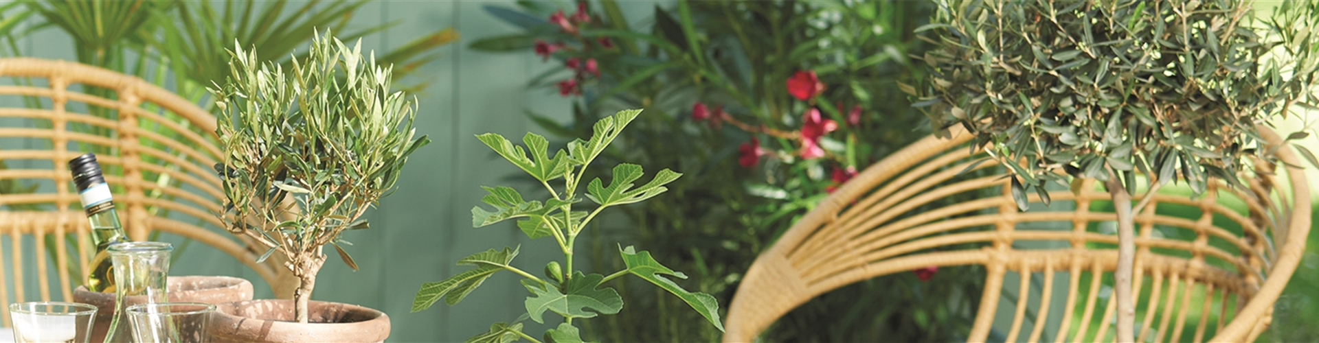 URLAUBSGEFÜHLE ZUHAUSE! 