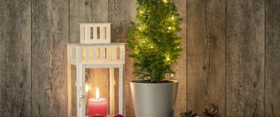 LICHTER ZU WEIHNACHTEN LICHTER ZU WEIHNACHTEN