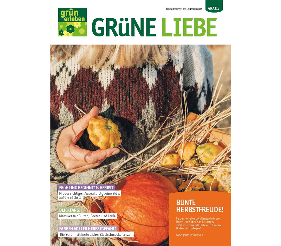 Ausgabe 5 2026 