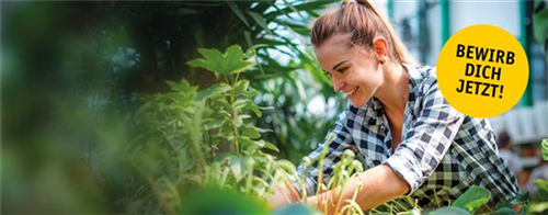 Gärtner (m/w/d) Zierpflanzenbau - Verkauf