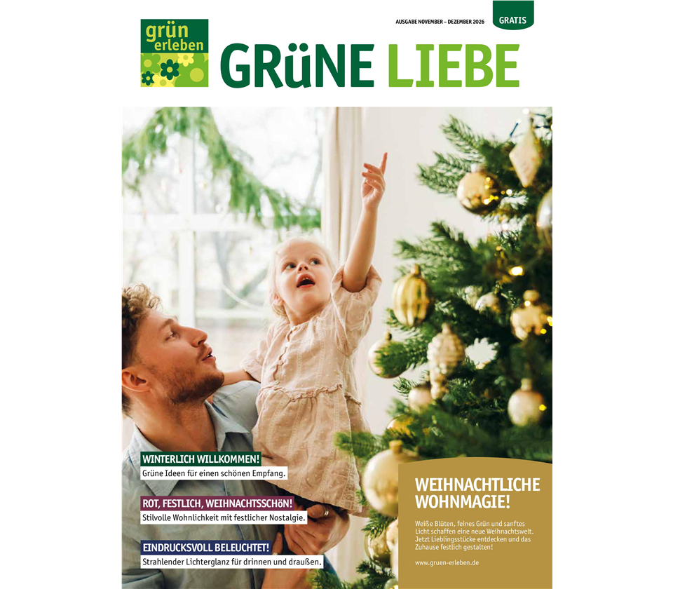 Ausgabe 6 2026 