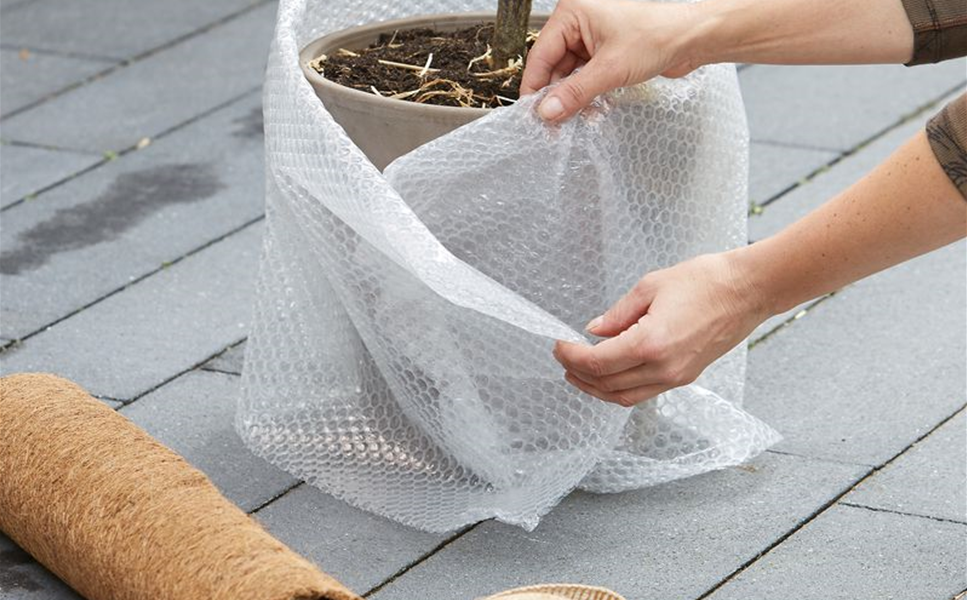 DIE BEPFLANZUNG EINES BAUERNGARTENS