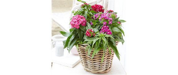 FLORALE LIEBESBEWEISE!