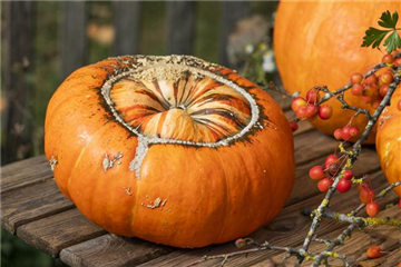 WIE GEHT...KÜRBIS FLORAL GESCHMÜCKT? WIE GEHT...KÜRBIS FLORAL GESCHMÜCKT?