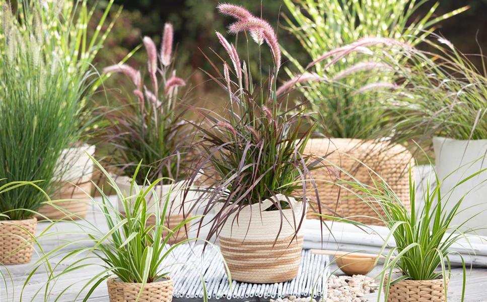 AUSSEN - PFLANZGEFäSSE FüR DEN GARTEN!