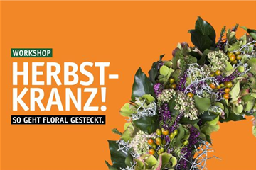 Herbstkranz - So geht floral gesteckt