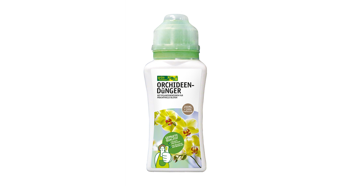 dünger sommerflieder Buddleja davidii main image 1