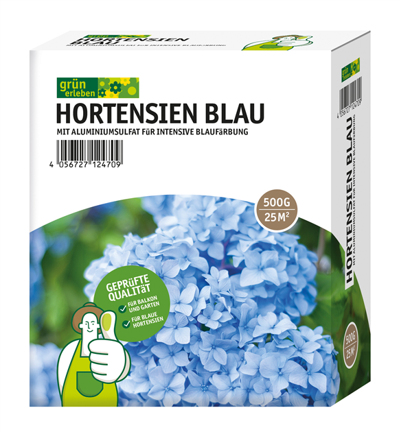 grn erleben Hortensien Blau
