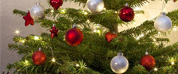 WEIHNACHTS-LICHTER-GÄRTEN WEIHNACHTS-LICHTER-GÄRTEN