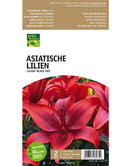 Asiatische Lilien
