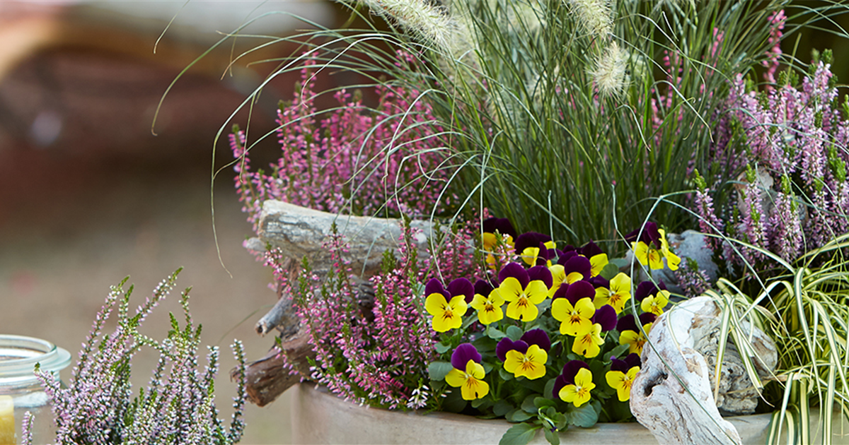 TERRASSENTRENDS IM HERBST - grn erleben