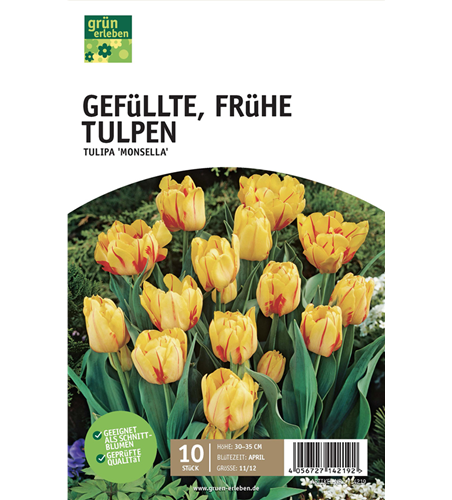 Gefüllte frühe Tulpen