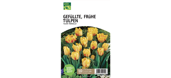Gefüllte frühe Tulpen